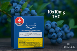 Wyld BLUEBERRY Hybrid - 10 Pk