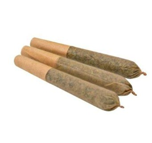 Weed Me MAPLE RNTZ Indica - PR3X0.5G