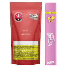 Papa's Herb RNTZ Disposable Indica - 1G