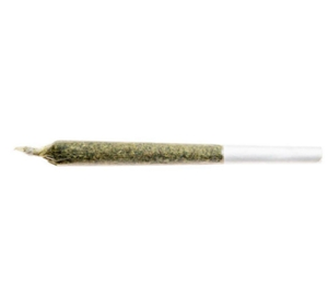 Faderade RED VELVET SPIKED BLUNT Indica - PR1X1G