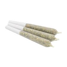 Locker Room 3 POINTERZ Indica - PR3X0.5G